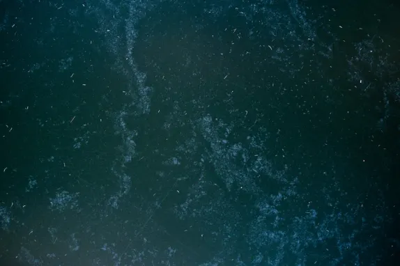 Tournaverse Kasino Tuki